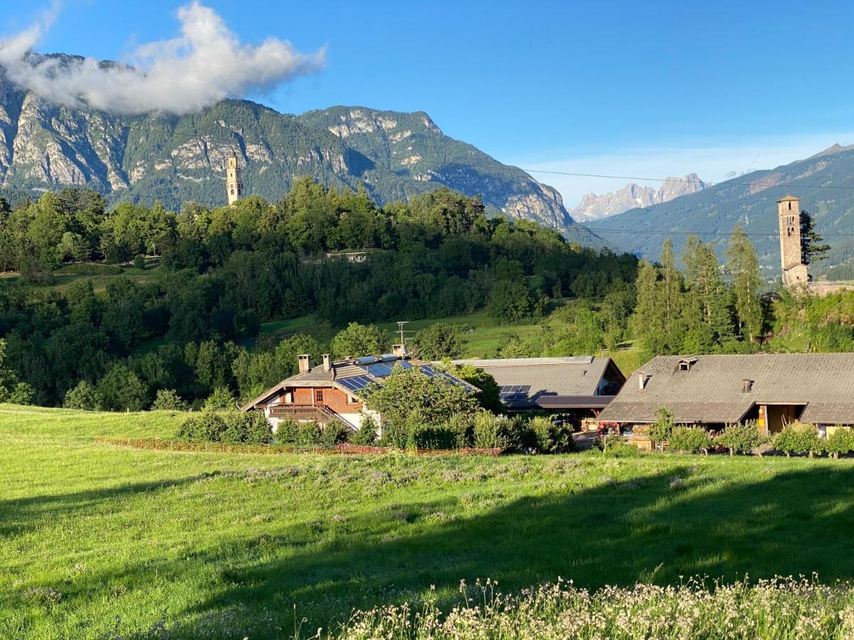 Ferienwohnung Dolomiti Terrace Cavalese Exterior foto